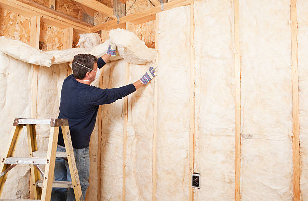 Best Basement Insulation  in Hoisington, KS